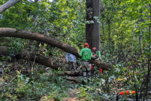 Post with a feature image